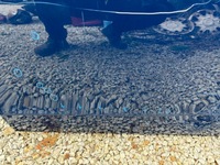 фото thumb №9, Mercedes v-klasa vito 447 дверь правое перед правое передние