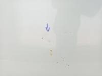 Tesla model 3 рестайлінг  highland 2023- капот кришка двигуна Київ, фото thumb