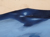 фото thumb №12, Fiat croma 2,2 перед kompletny europa 266/a