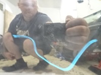 фото thumb №10, Peugeot 308 t9 ii дверь правое передние ktv ktvd