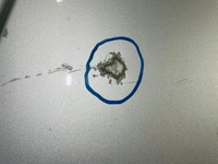 фото thumb №9, Mercedes c клас 204 рестайлінг капот кришка двигуна перед 2011-2014 рік