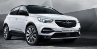 фото thumb №4, Opel grandland x 2018 молдинг ущільнювач лівий задня