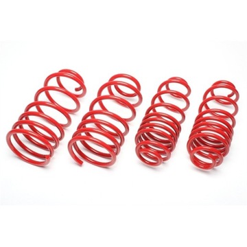 VW Polo 6N2 Technix 40/40 занижающие пружины