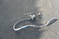 фото thumb №8, Датчик положення вала nissan patrol gu4 gu3 zd30 3.0di