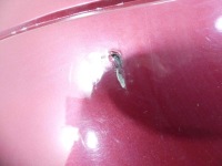 Купить Бампер задняя renault scenic i lift 99-03 nv713, фото thumb