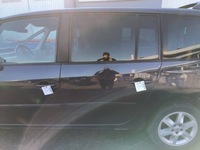 фото thumb №9, Двері ліва задня nv472 renault espace iv