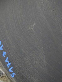 фото thumb №7, Подкрылок левая левый перед часть задняя bmw x5 e70 7169413