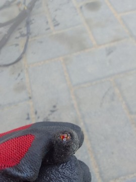 фото thumb №8, Bmw 3 g20 vii 18- джгут установка електричний usa