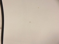 фото thumb №7, Двері ліва задні vw jetta iv 162, 163, av3, av2 lc9a, 0q0q sedan