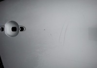 фото thumb №7, Renault scenic iii fl двері перед праве ted 69 ted69