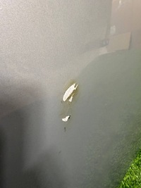 фото thumb №8, Капот крышка двигателя audi q3 ii f3 83a 18- оригинал