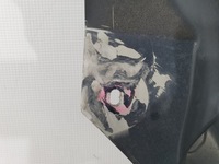 фото thumb №7, Ford ranger raptor 5 v 19-22 крыло правый перед передний