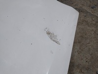 фото thumb №6, Двері правий задня vw golf vi kombi