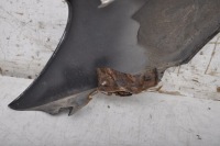 фото thumb №16, Mercedes slk w170 r170 крыло правый перед передний