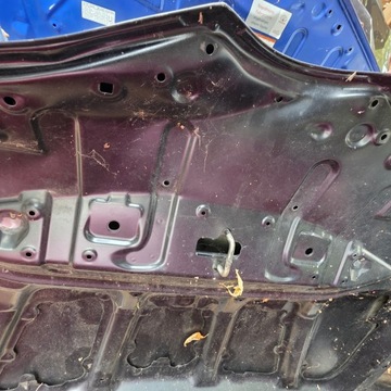 фото thumb №9, Капот крышка двигателя toyota auris ii рестайлинг e18 2015-2018r 53301-02260