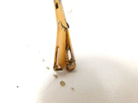 фото thumb №8, Піддон оливи alfa romeo 147 1.9 16v jtdm jtd 156