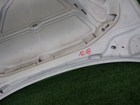 фото thumb №12, Seat leon 5f0 iii 13-17 капот