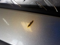 фото thumb №6, Kia sorento 02- двері перед передні праве