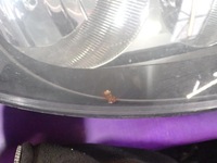 фото thumb №9, Renault clio ii thalia i lift fl 01-05 лампа фара правый 8200228792