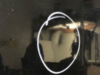 фото thumb №6, Капот audi a8 d3 sedan/limuzyna 02-10