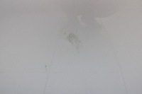 фото thumb №10, Audi tt 8n 98r- дверь правые передние правые перед ly7w