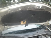 фото thumb №2, Капот renault clio 3 05-09