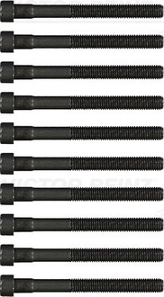 фото thumb №1, Набір гвинт головки циліндрів reinz 14-32026-01