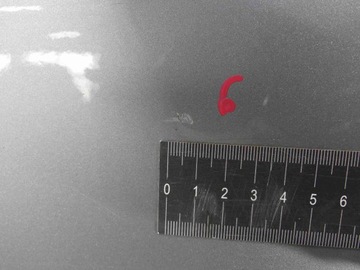 фото thumb №8, Дверь зад правые ford focus c-max i mk1