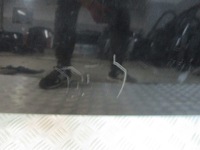 фото thumb №5, Кришка багажника багажника ford street ka c3