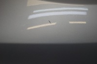 фото thumb №12, Крила лівий перед ford focus mk3 2010-2018