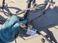 Жгут электропроводка отопления webasto renault gama t в Украине, фото thumb