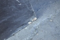 фото thumb №13, Opel astra h iii двері праві перед передні 5d