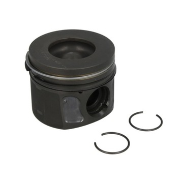 фото thumb №1, Поршень nural