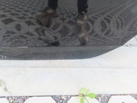 фото thumb №6, Audi a4 b8 sedan дверь левый зад ly9b 89um