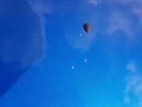 фото thumb №8, Chevrolet spark iii m300 09-13r капот gct