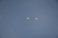 фото thumb №4, Капот крышка двигателя mercedes c-klasa w203