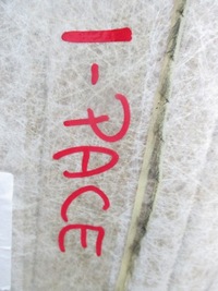 фото thumb №5, Потолок jaguar i pace