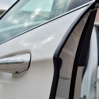 фото thumb №12, Прокладка крайова двері гумова армована металом 5 m karkraft