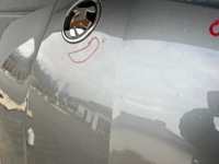 Капот крышка skoda octavia 4 iv хорошее состояние 5e3 с Разборки, фото thumb