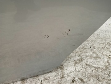 фото thumb №4, Дверь левая задние левый зад vw golf vii 7 универсал 5g9 12-20