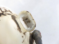 Поплавок renault kangoo 1 1.9 dci 4x4 8200155195 Цена, фото thumb