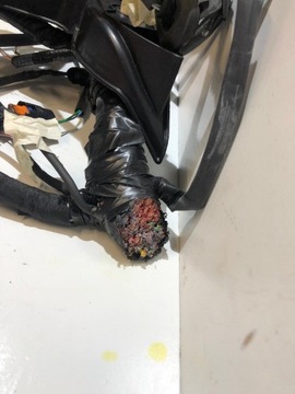 фото thumb №6, Dacia jogger 1.0 tce жгут установка двигатель