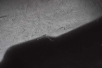 фото thumb №14, Бардачок пасажира eu eg2164030 mazda cx-7 lift 09-12