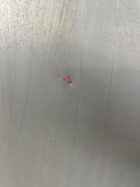 фото thumb №8, Капот кришка двигуна mercedes eqc w293