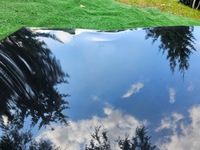 фото thumb №6, Двері лівий перед audi a4 b8