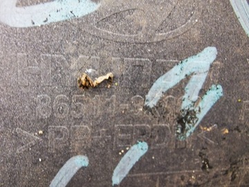 фото thumb №8, Hyundai sonata v nf бампер переднє 05-09