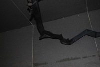 фото thumb №5, Панель фари лівий перед audi a8 d2 lift 4d0805855k