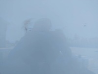 фото thumb №8, Nissan qashqai j12 2021-2024 дверь перед передние левая