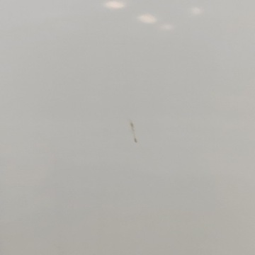 фото thumb №7, Lexus rx 450h 2023 зад сторона права двері задні