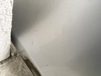 фото thumb №8, Бампер задній kompletny pdc mercedes ml w164 c775